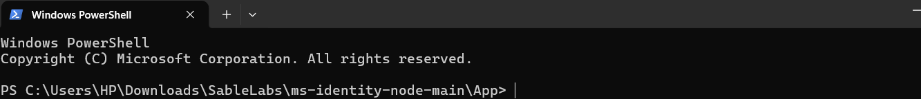 PowerShell opened in the App folder