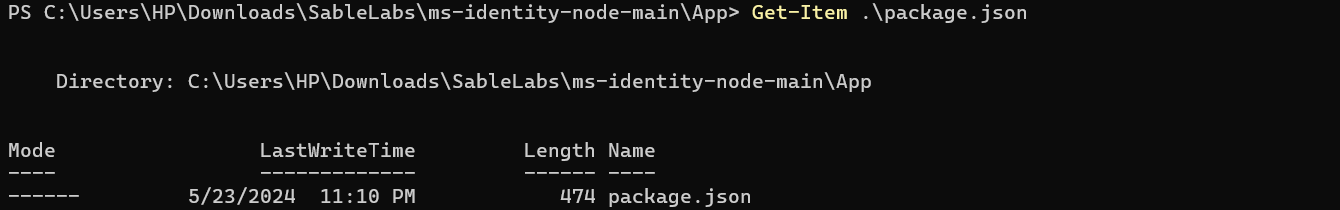 Get-Item output for package.json