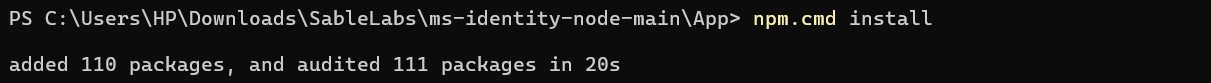 npm install output