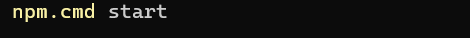 npm start command