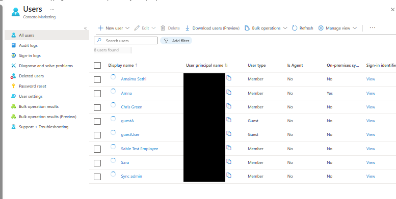 Users list in the Entra portal